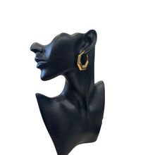 Load image into Gallery viewer, Zara Gold Plated Earrings